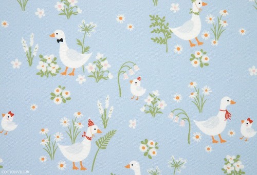 Daisy flower gentleman - flower, goose